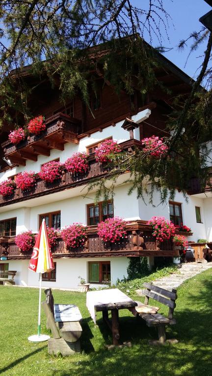 فندق رامساو أم داتشستينفي  Alpenhaus Birkhahn المظهر الخارجي الصورة