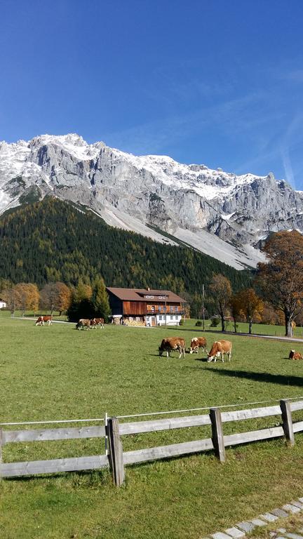 فندق رامساو أم داتشستينفي  Alpenhaus Birkhahn المظهر الخارجي الصورة